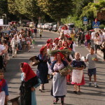 serrone 2014 (7)